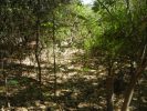 Aloja - Vende excelente Terreno de 3ha aprox. a una cuadra Terminal. San Marcos Sierras.