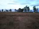 ALOJA - Vendo Campo de 162 Ha en El Divisadero, San Martín, Mendoza