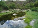 ALOJA - Vendo importante Campo de 433 ha con costa de río en La Candelaria, departamento de Cruz del eje