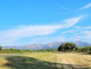 ALOJA - Venta de campo 11,5 ha en Charbonier