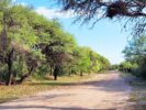 Aloja - CHARBONIER. Venta fracción de campo de 4,7ha