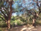 ALOJA - Vende lotes con canal de riego desde 700m², zona centro, San Marcos Sierras