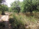 ALOJA -  OPORTUNIDAD Vendo Lote en El Rincón - San Marcos Sierras