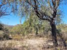 ALOJA – Vendo lote de 4000 m² en barrio cercano a Pozo de Luz, San Marcos Sierras