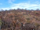 ALOJA – Vendo lote de 400 m² en barrio cercano a Pozo de Luz, San Marcos Sierras