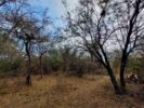 ALOJA- Vendo Lotes de 3300m2 y 1600m2 dentro del pueblo, San Marcos Sierras