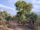ALOJA – Vendo campo 12ha o menor superficie en Charbonier