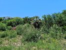 ALOJA - CAPILLA DEL MONTE. Vende lotes desde 420m² a metros del Bv. Las Gemelas.