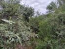 Aloja - Vendo Campo de 25 Hectáreas en El Salto - San Marcos Sierras.