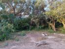 ALOJA - Vende lote de 3.000m² en La Rinconada, San Marcos Sierras