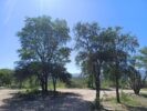 Aloja - Vende Lotes con o sin mejoras, excelente vista  Zona Charbonier.